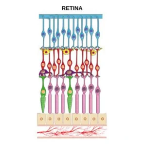 Different Approaches